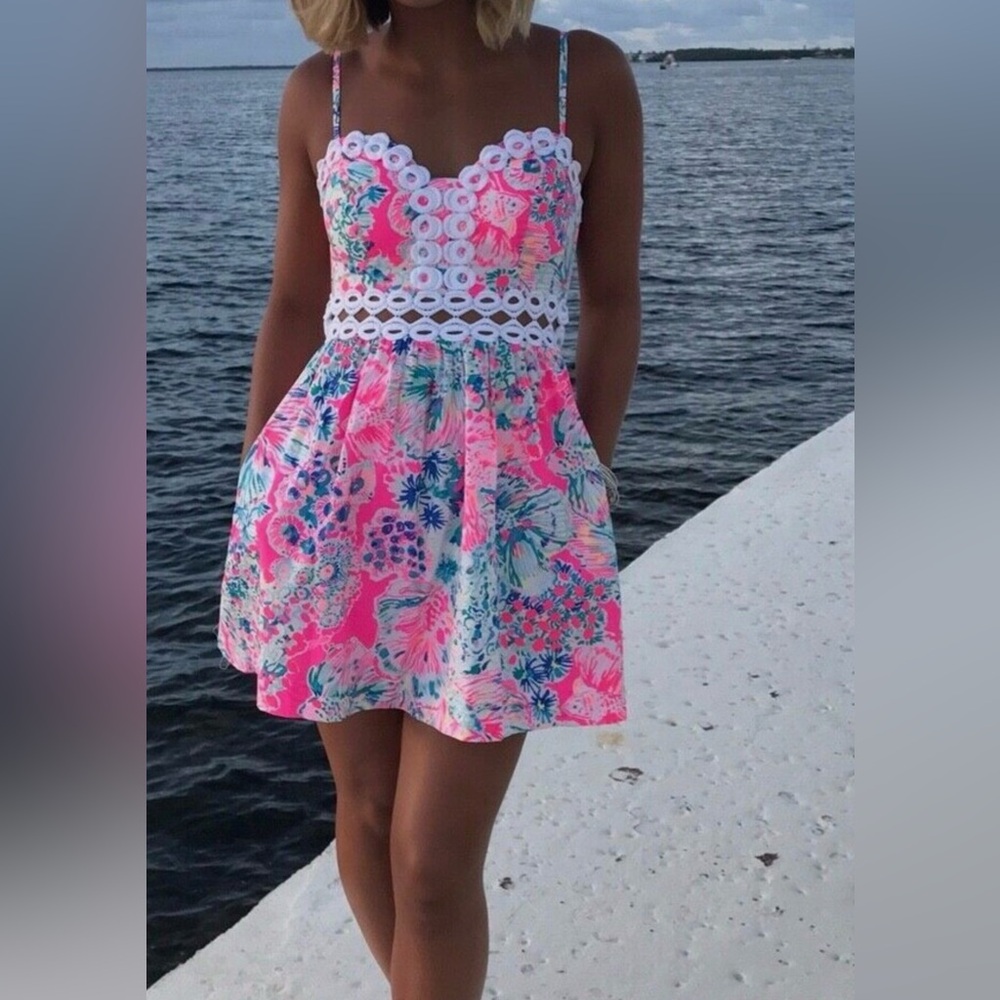 Lilly Pulitzer Rika Fit & Flare Mini Dress Beach Tiki Pink Gypsea Sz 6 RARE 🦄🦄🦄🦄